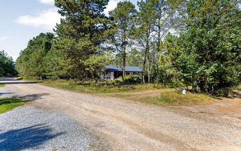 Reinhardt - 800M from the Sea: Verblijf, Backyard, Werf, Garden Gebouwen, Schuur, Siding, Buitenmeubels, Blokhut, Outdoor Structuur, Keet