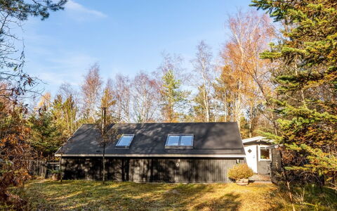 Else - 470M from the Sea: Boom, Afdeling, Blad, Gras, Hout, Huis, Verblijf, Huis, Dak, Takje