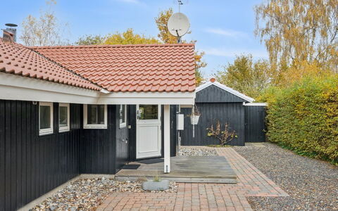 Gyda - 840M from the Sea: Vegetation, Struik, De Lente, Verblijf, Tuin, Schaduw, Backyard, Werf, Stoel