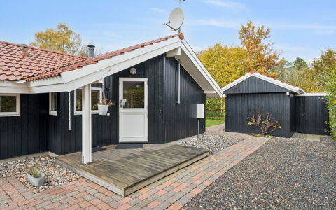 Gyda - 840M from the Sea: Vegetation, Struik, De Lente, Verblijf, Tuin, Schaduw, Backyard, Werf, Stoel