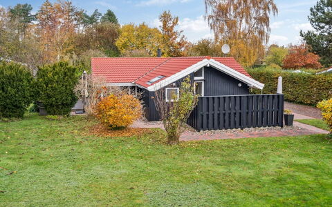 Gyda - 840M from the Sea: Vegetation, Struik, De Lente, Verblijf, Tuin, Schaduw, Backyard, Werf, Stoel