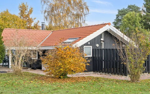 Gyda - 840M from the Sea: Vegetation, Struik, De Lente, Verblijf, Tuin, Schaduw, Backyard, Werf, Stoel