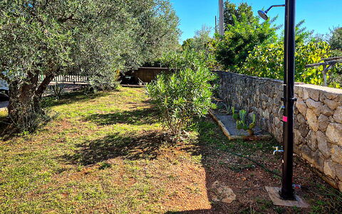 Sandra: Tuin, Landscaping, Backyard, Hek