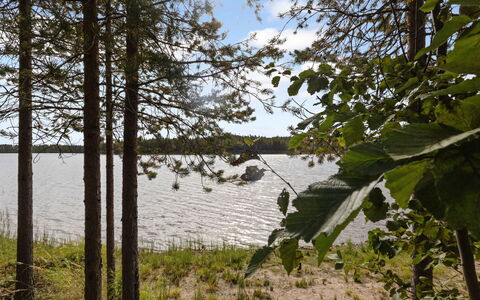 Ahvenmäki B: Watervoorraden, Water, Zwemwater, Blad, Groen, Natuurlijke Omgeving, Natuur, Natuurlijk Landschap, Vegetation, Bank
