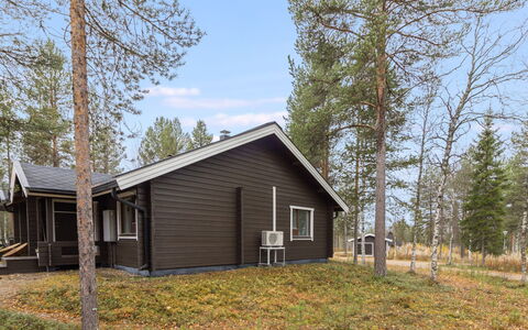 Villakka: Hout, Verblijf, Blokhut, Woud, Schuur, Garden Gebouwen, Lariks, Bos, Beits