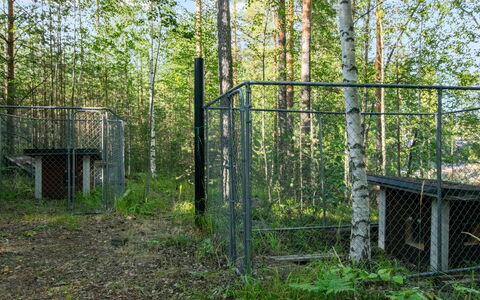 Susiranta: Plantengemeenschap, Mesh, Woud, Chain-Link Schermen, Bos, Hekken, Hek, Bosje, Noord Hardhoutbos
