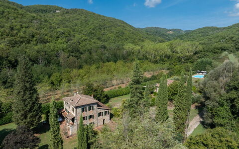 Mulino di Carpineto with Pool Gaiole in Chianti: Natuurlijke Omgeving, Vegetation, Huis, Huis, Landschap, Landelijk Gebied, Struik, Woongebied, Woud, Plantengemeenschap