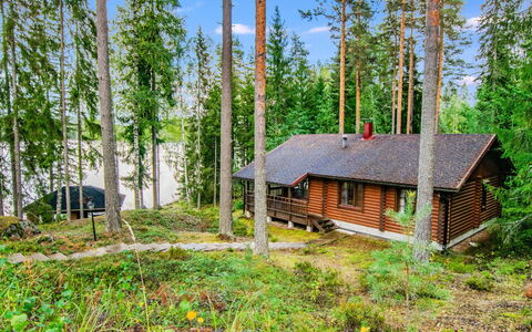 Villa Saimaa: Boom, Hout, Verblijf, Huis, Bos, Woud, Plantengemeenschap, Blokhut, Trunk, Lariks