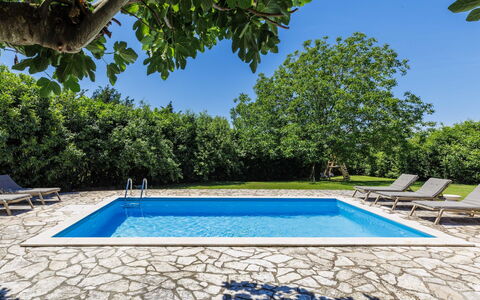 Elli: Blauw, Zwembad, Toevlucht, Schaduw, Buitenmeubels, Tuin, Eco Hotel, Landscaping, Backyard, Villa
