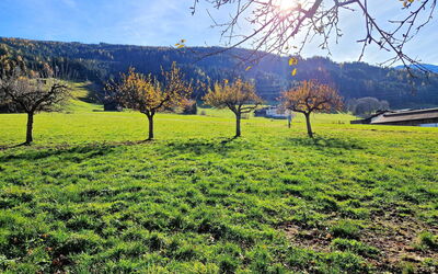 Weerberg 1: Gras, Groen, Natuurlijke Omgeving, Grasland, Natuurlijk Landschap, Plain, Veld, Pasture, Zomer, Landschap