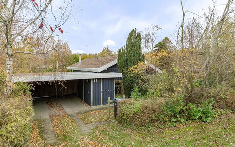 Mika - 300M from the Sea: Verblijf, Backyard, Werf, Garden Gebouwen, Schuur, Siding, Buitenmeubels, Blokhut, Outdoor Structuur, Keet