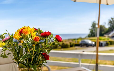 Finn - 100M from the Sea: Verblijf, Backyard, Werf, Garden Gebouwen, Schuur, Siding, Buitenmeubels, Blokhut, Outdoor Structuur, Keet