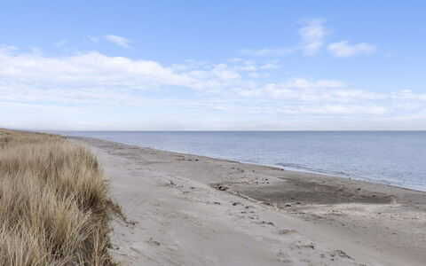 Elaina - 290M from the Sea: Dak, Huis, Deur, Verblijf, Schaduw, Siding, Werf, Landgoed, Backyard