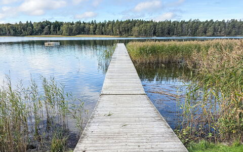 Västanvik: Water, Watervoorraden, Zwemwater, Natuurlijk Landschap, Waterweg, Bank, Boardwalk, Dok, Moeras, Waterloop