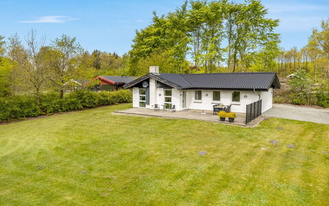 Gildo - 30Km from the Sea: Verblijf, Backyard, Werf, Garden Gebouwen, Schuur, Siding, Buitenmeubels, Blokhut, Outdoor Structuur, Keet