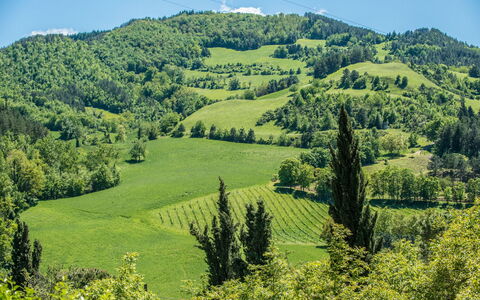 Torre Fantini: Bergachtig Landvormen, Groen, Boom, Berg, Heuvel, Natuurlijke Omgeving, Blad, Natuurlijk Landschap, Vegetation, Hoogland