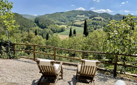 Torre Fantini: Boom, Landschap, Meubilair, Buitenmeubels, Woud, De Lente, Buitentafel, Schaduw, Heuvel Station, Hardwood
