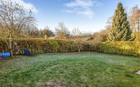 Pavo - 200M from the Sea: Verblijf, Backyard, Werf, Garden Gebouwen, Schuur, Siding, Buitenmeubels, Blokhut, Outdoor Structuur, Keet