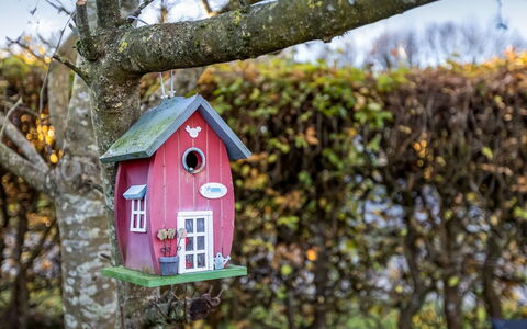 Pavo - 200M from the Sea: Verblijf, Backyard, Werf, Garden Gebouwen, Schuur, Siding, Buitenmeubels, Blokhut, Outdoor Structuur, Keet