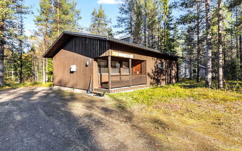Mettonpesä