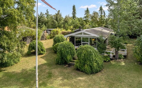 Felicia - from the Sea: Struik, Tuin, Gazon, Landscaping, Werf, Park, Garden Gebouwen, Backyard, Evergreen