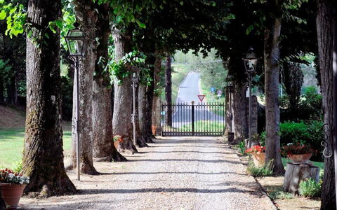 Villa Medicea Lo Sprocco: Struik, Gang, Tuin, Trunk, Oprit, Trail, Stoep, Schaduw, Landscaping, Flagstone