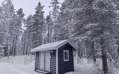 Sinikiiruna