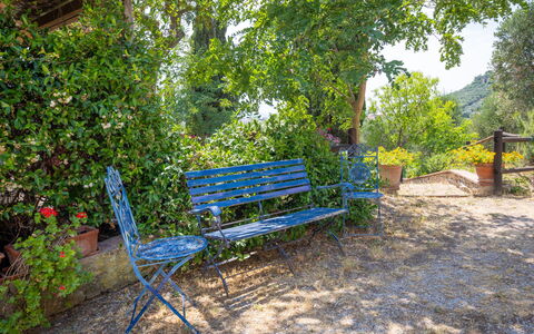 Campiglia Marittima 649: Blauw, Openluchtbank, Meubilair, Buitenmeubels, Bank, Tuin, Groundcover, Schaduw, Park