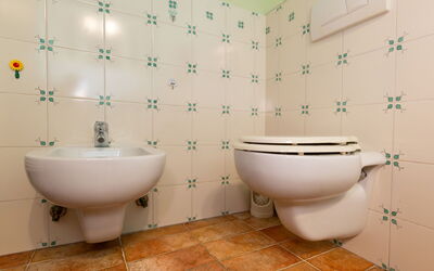 Accommodatie:&nbsp;Iris 649.4