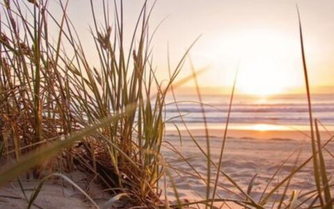 De Bosuil: Strand, Zee, Kust, Ochtend, Zonsopkomst, Zand, Kust, Oceaan, Zonlicht, Zonsondergang