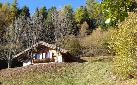 Chalet Genzianella: Gras, Boom, Hout, Huis, Dak, Verblijf, Architectuur, Landelijk Gebied, Struik, Huis