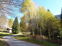 Chalet Genzianella