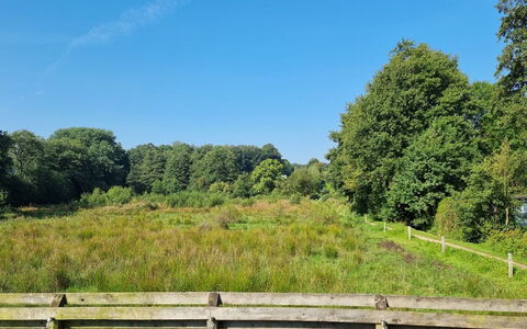 Assarina - 15M from the Sea: Huis, Dak, Huis, Deur, Verblijf, Schaduw, Tuin, Groundcover, Veranda, Werf
