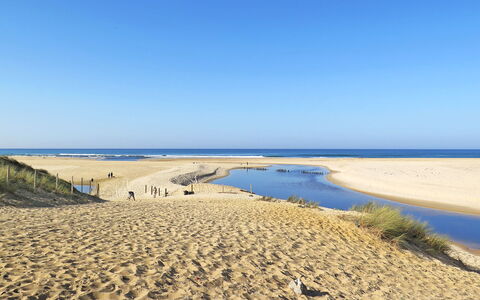 Villa Dune: Natuurlijke Omgeving, Strand, Zand, Kust, Horizon, Kust, Kust En Oceanic Landvormen, Ecoregio, Zee