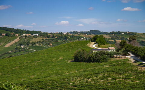 Villa Zena: Groen, Landbouw, Veld, Plantage, Landelijk Gebied, Plain, Grasland, Landschap, Land Lot
