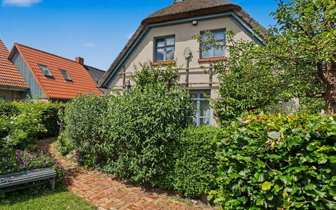 Reetgedecktes Ferienhaus Seelchen: Groen, Muur, Struik, Huis, Woongebied, Tuin, Huis, Haag, Groundcover