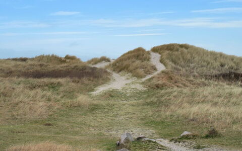 Odeta - 50M from the Sea: Lucht, Gras, Natuurlijke Omgeving, Vegetation, Grasland, Ecoregio, Plantengemeenschap, Wildernis, Terrein, Land Lot