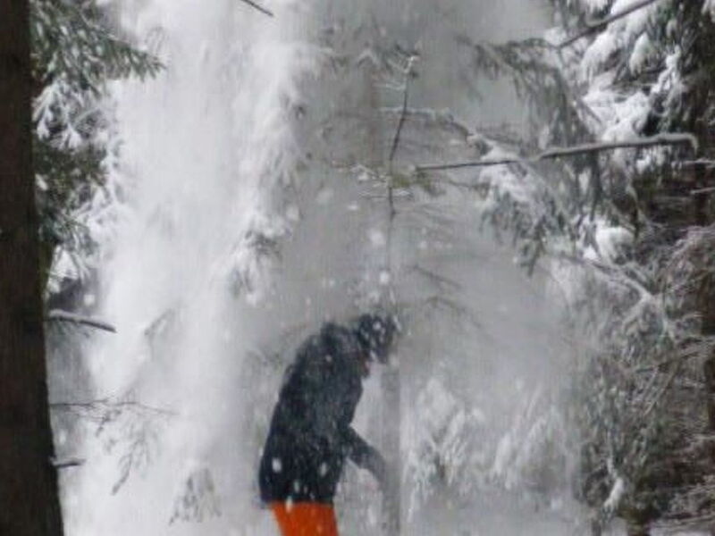 Almhütte Helmut Dischgerbrent in Sankt Margarethen