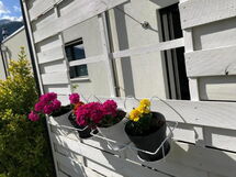 Guesthouse Petit Pré Studio Zen