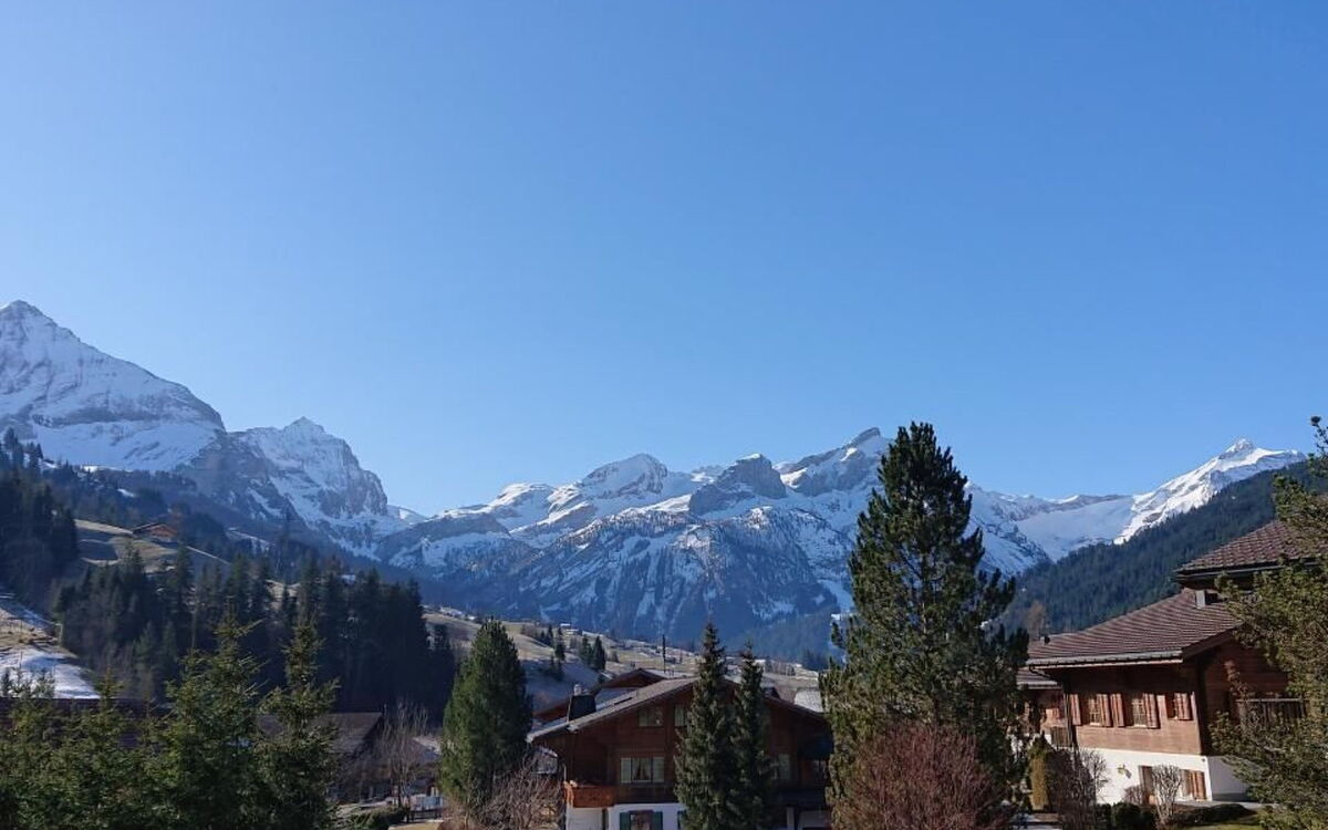Chalet Wittebärg