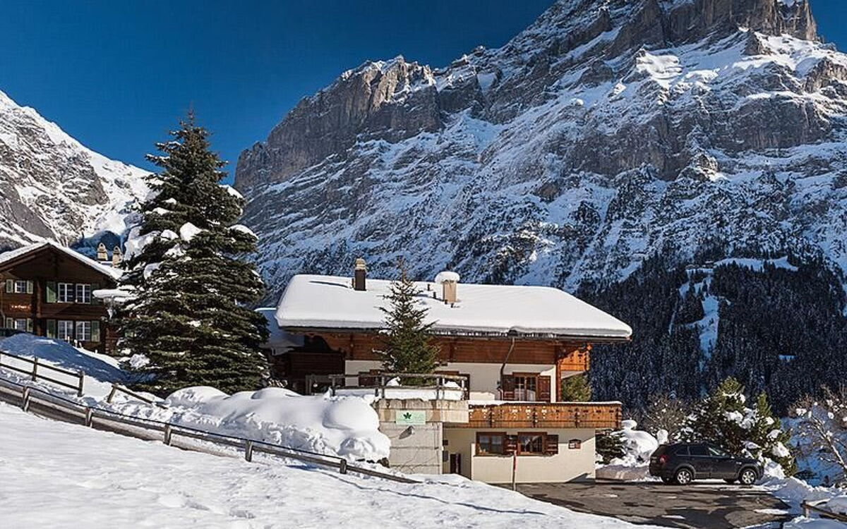 Appartement mit Bergblick