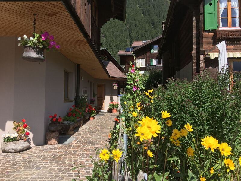 Katharina von Allmen