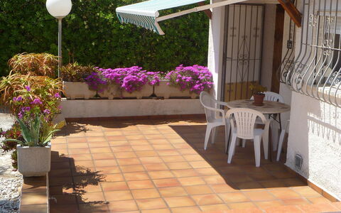 Mimosa i: Eigendom, Pergola, Huis, Gebouw, Verdieping, Patio, Bloem, Fabriek, Backyard, Interieur Ontwerp