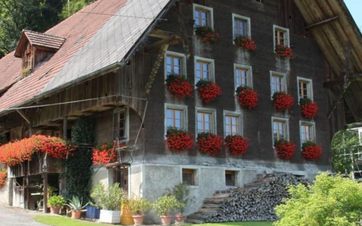 Altes Bauernhaus 1793 in Willisau