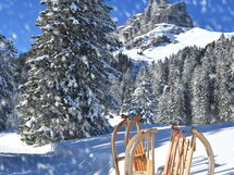 Seepromenade Direkt am Davoser See