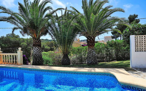Lucie: Zwembad, Eigendom, Toevlucht, Boom, Palmboom, Onroerend Goed, Majorelle Blue, Vakantie, Arecales, Vrije Tijd