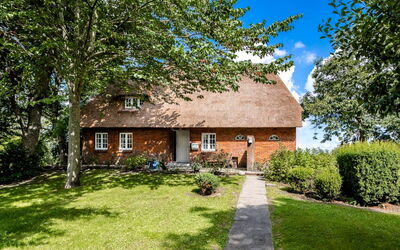 Reetdachhaus Inmitten von Wiesen und Feldern