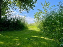 Reetdachhaus für Erholsamen Familienurlaub