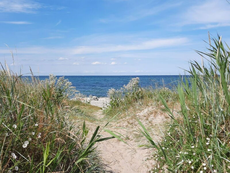 In Dänschendorf auf Fehmarn