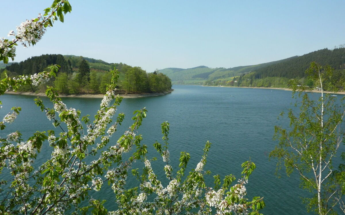 Diemelsee